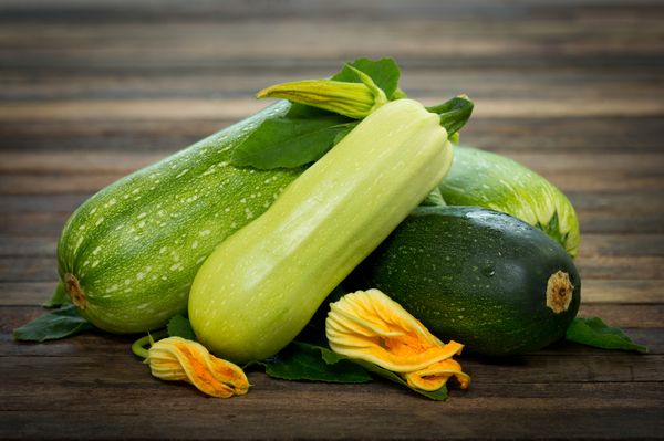  Le migliori varietà di zucchine
