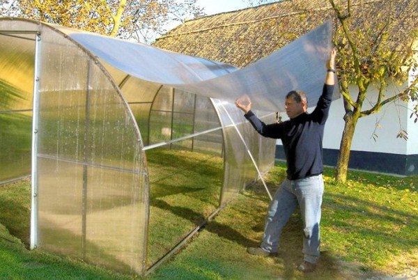  Estufa de policarbonato DIY
