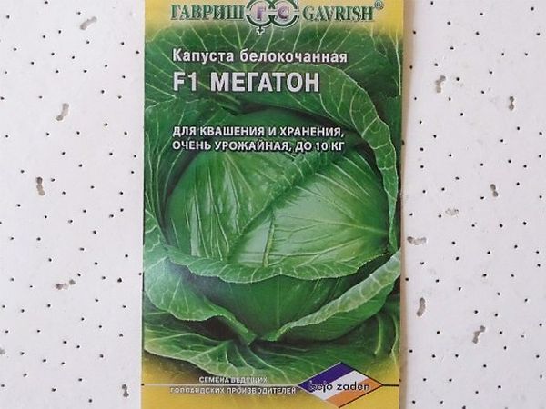  Λάχανο σπόρων Megaton