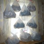  En bolsas de plastico