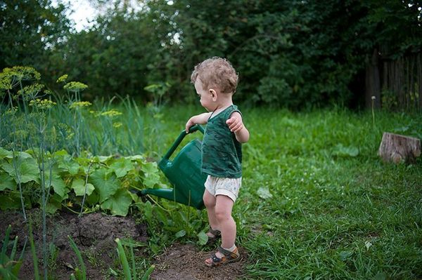  Norma di annaffiamento del midollo vegetale di Kavili - 10l / m2