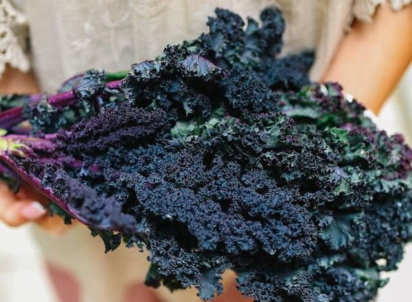  Rusă Kale Kale