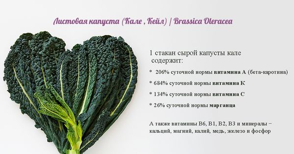  Nutrients in Cale Cabbage
