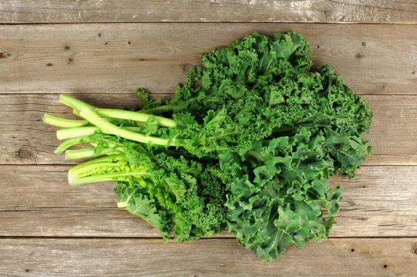  Store foliage in the fridge can be no more than 7 days