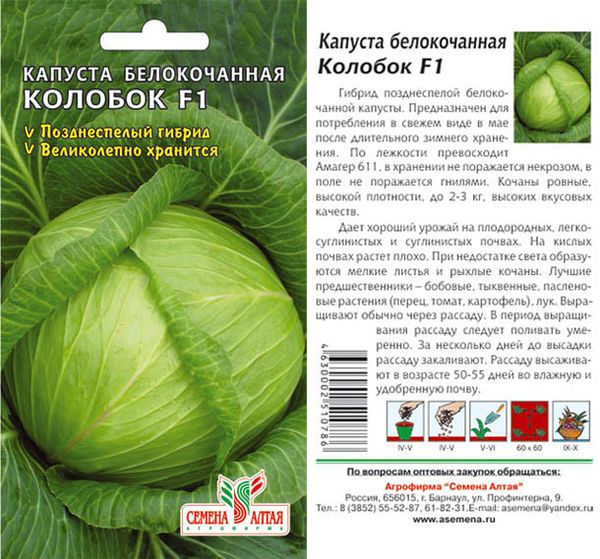  Cabbage Seeds Kolobok