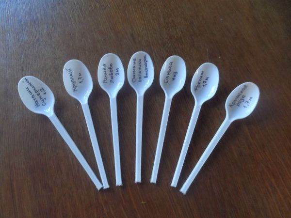  Disposable spoons can be used as markers.