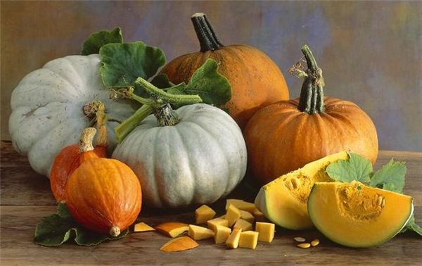  Butternut Pumpkin