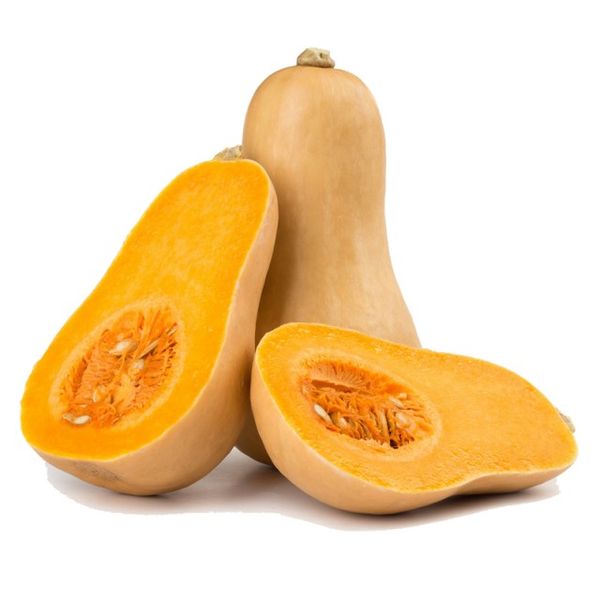  Butternut