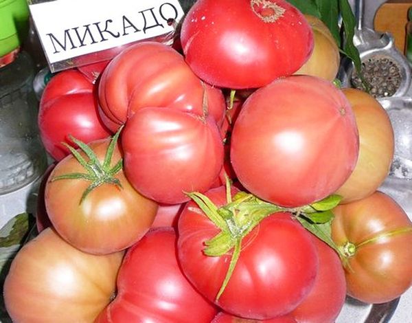  Soiuri de tomate Mikado