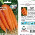  scricchiolio