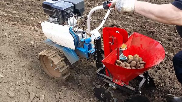  Planting potato walker
