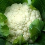  Descrizione delle varietà di cavolfiore precoce