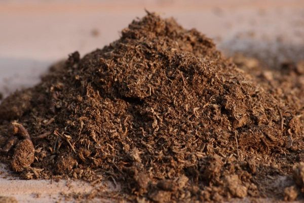  La torba con segatura può essere utilizzata come fertilizzante organico.