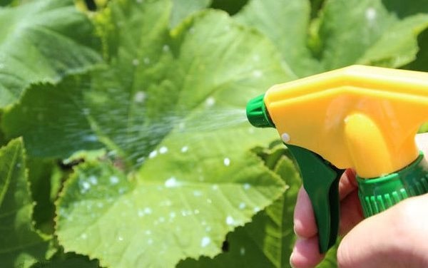  Preparati per il trattamento di piantine e terreni in serra da parassiti