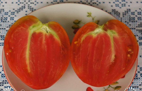  Somente frutos maduros de arbustos saudáveis ​​são adequados para a coleta de sementes.