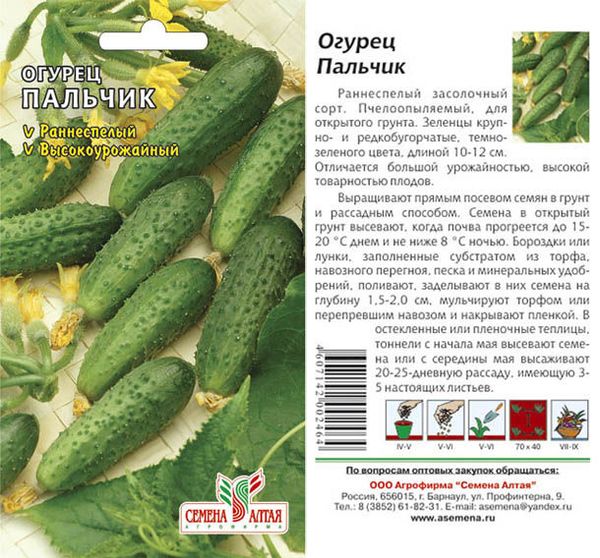  Semi di cetriolo