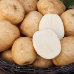  Varietà di Biancaneve - mediamente precoce, non esposta all'infezione