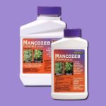  Mancozeb - Sviluppo cinese per spruzzare cespugli dalla crosta