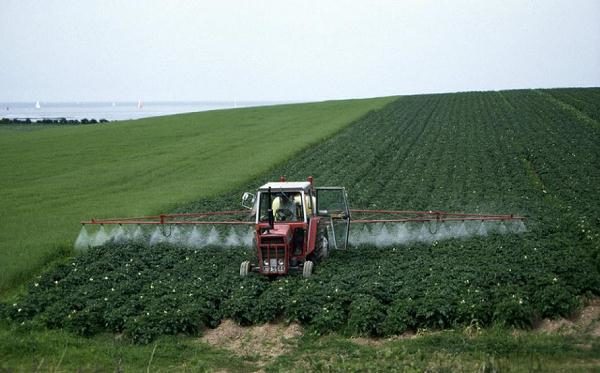  L'introduzione di erbicidi per patate sul campo