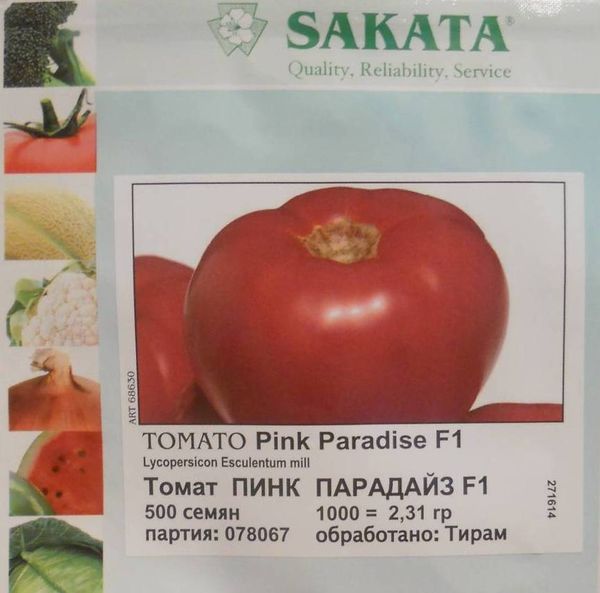  Sementes De Tomate Rosa Paraíso