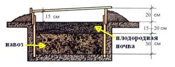  Esquema de criação de uma estufa de aquecimento biológico com estrume