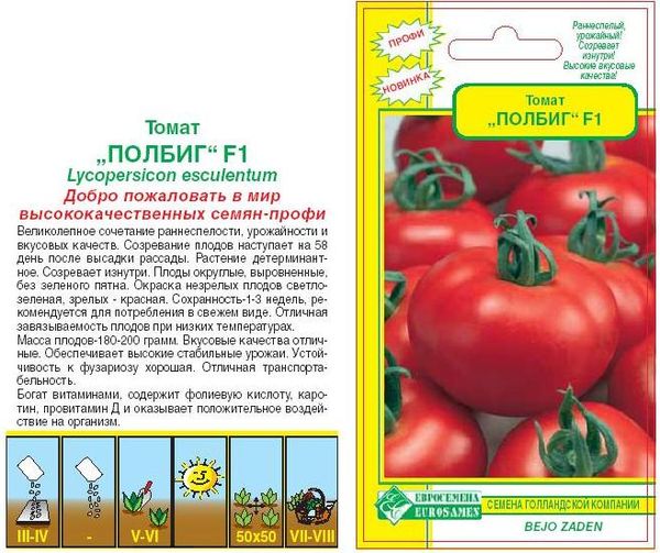  Semillas Tomate Polbig F1
