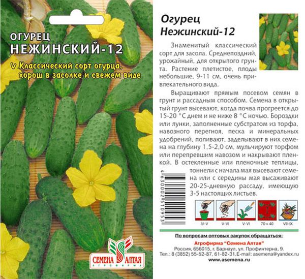  Nezhinskii