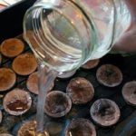  Compresse di torba in un contenitore pieno d'acqua