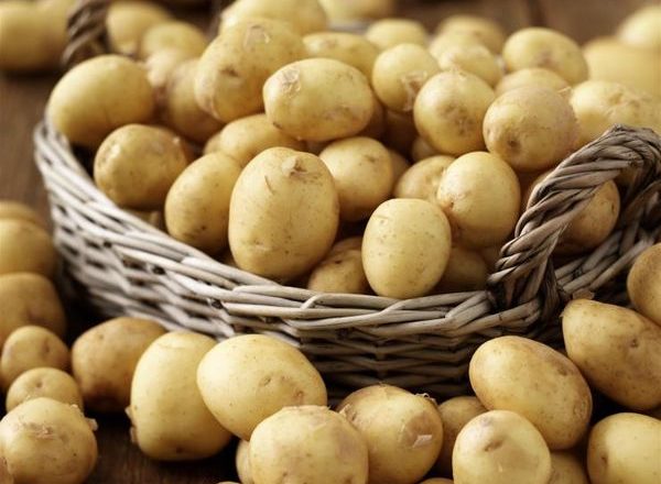  Early potato varieties