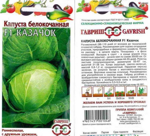  Cossack F1