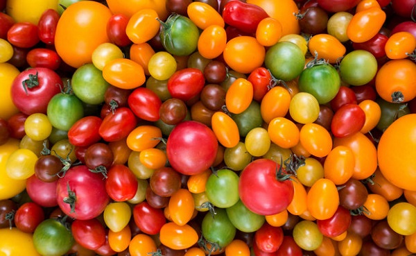  Descrição e características do creme de tomate