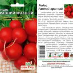  Rosso precoce