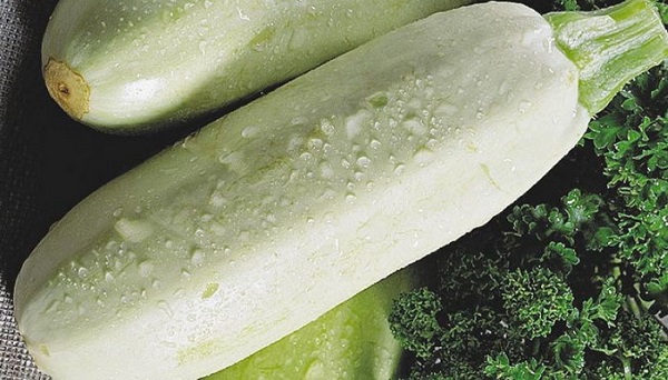 Rullo di zucchine