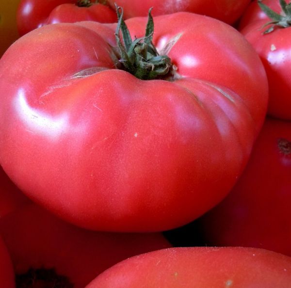  Las frutas de la variedad son consideradas las más deliciosas entre los tomates rosados.