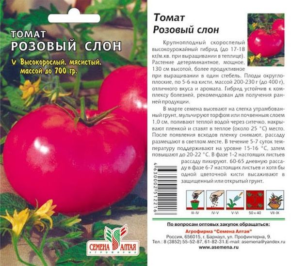  Semillas de tomate rosa elefante