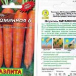  vitamina
