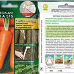  Inverno a Mosca