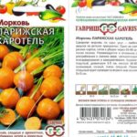  Carota parigina