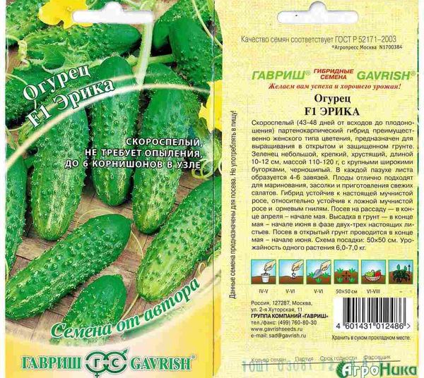  шипка