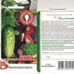  Лапландия