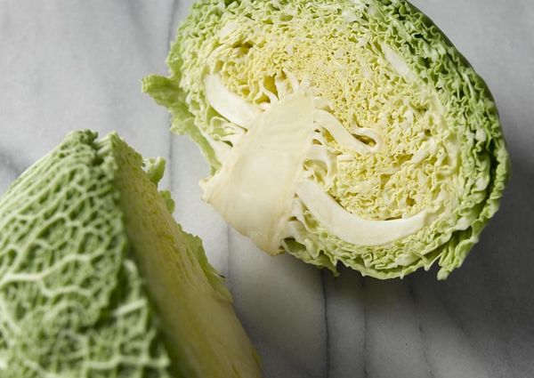  Savoy cabbage harvesting begins in July