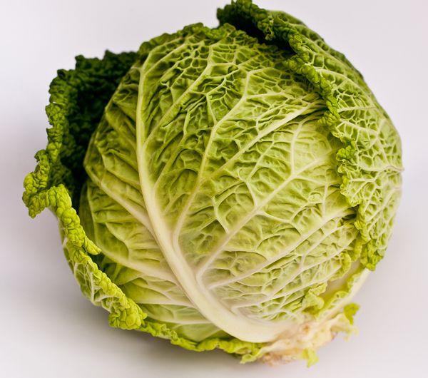  The weight of the head of savoy cabbage can reach 3kg