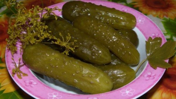  Castraveți castraveți