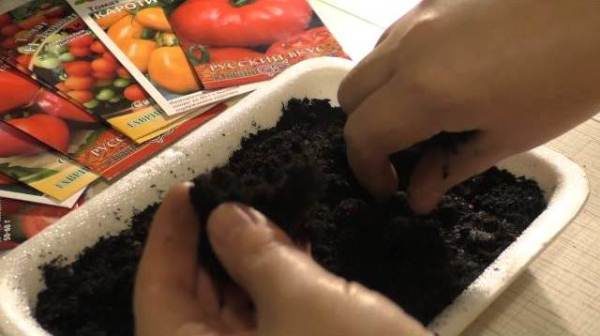  Semințe de însămânțare pentru răsaduri produse în ultima decadă a lunii martie