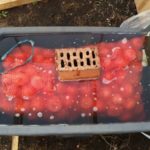  In acqua calda, il riscaldamento viene effettuato direttamente nella griglia.