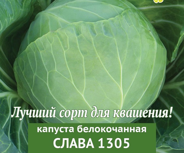  Avantajele și dezavantajele soiului