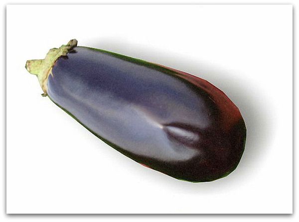  Varietà di melanzane per serre