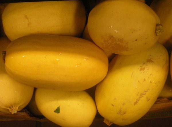  Per ottenere una zucchina a forma di noodle, dovrai aspettare per la raccolta in autunno