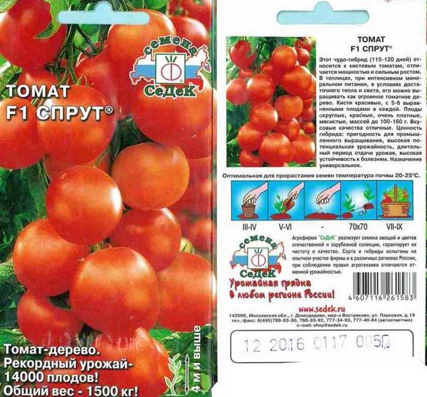  Sementes da variedade de tomate Octopus F1