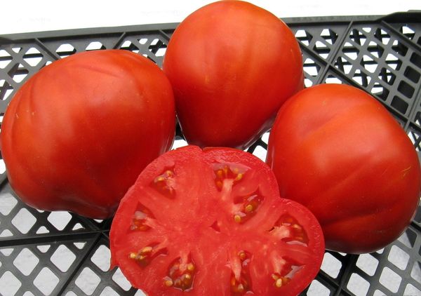  O peso de frutos de uma série faz de 160 para 350 gramas